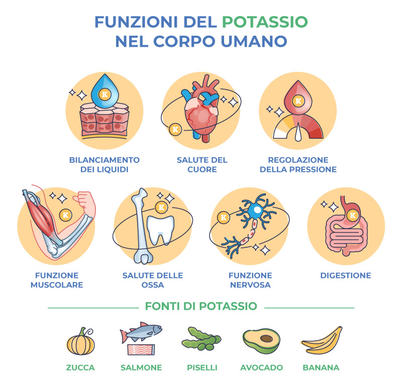 infografica funzioni potassio