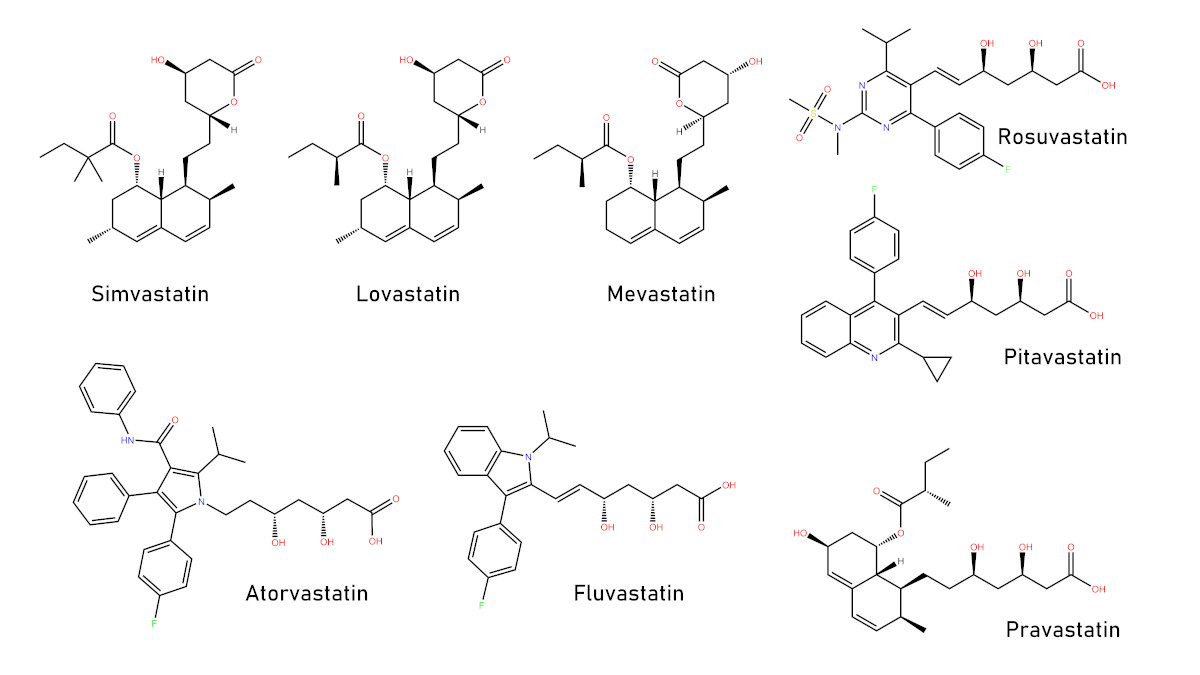 Famiglia delle statine